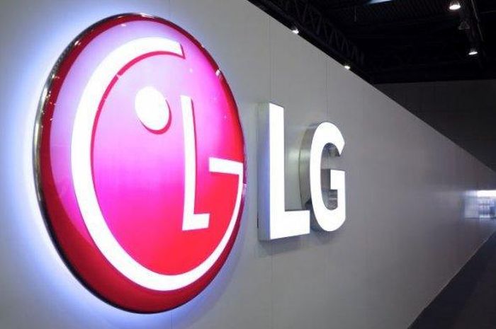 baterai, electric vehicle, Baterai kendaraan listrik, Bahlil Lahadalia, huayou, LG Mundur dari Proyek Baterai EV di Indonesia, Perusahaan China Ini Jadi Pengganti