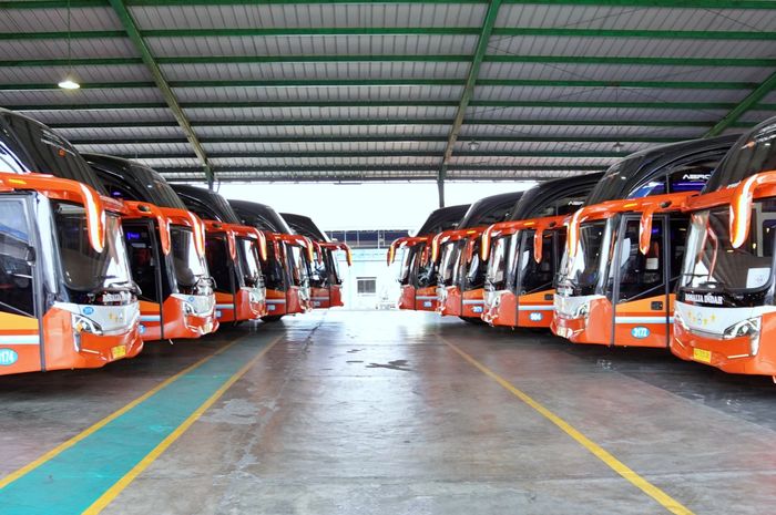 Bus Rosalia Indah, po rosalia indah, sejarah bus rosalia indah, pemilik bus rosalia indah, Ini Sejarah dan Pemilik PO Rosalia Indah, Awal Merintis Cuma Modal 1 Colt Diesel