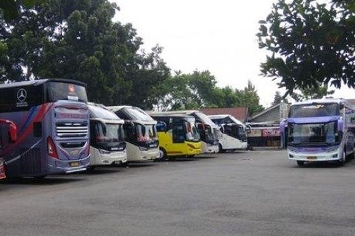 sopir bus, Bus AKAP, sopir bus akap, Pantas Saja, Ini Alasan Sopir Bus AKAP Pilih Jalan di Malam Mari Ketimbang Siang