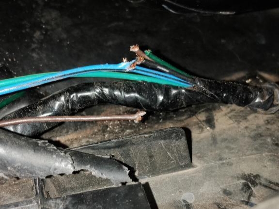 Ternyata Kabel Di Motor Matic Ini Jadi Kesukaan Tikus, Rawan Digigit