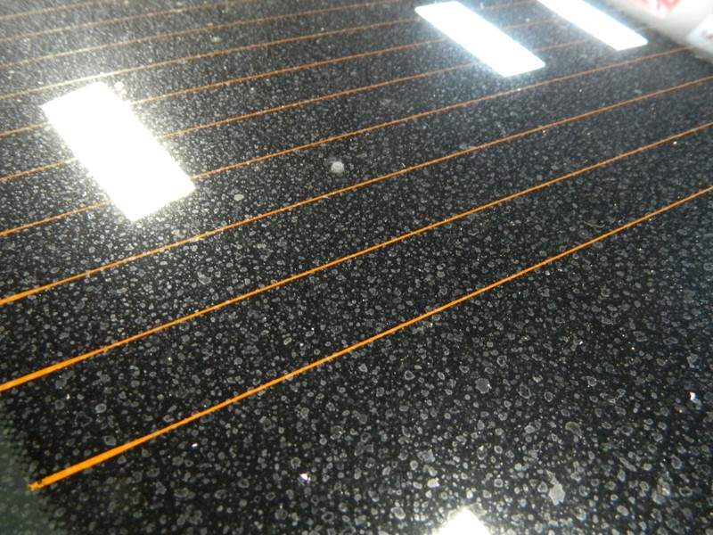 Ladies Ternyata Semudah Ini Cegah Munculnya Jamur di Kaca Mobil