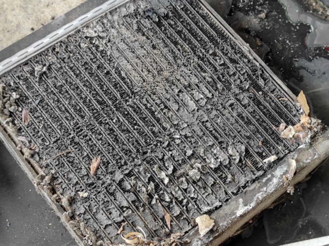kotor, ac mobil, bocor, filter kabin, evaporator, Filter Kabin Kotor Masih Terus Dipakai, Ini Dampaknya ke AC Mobil