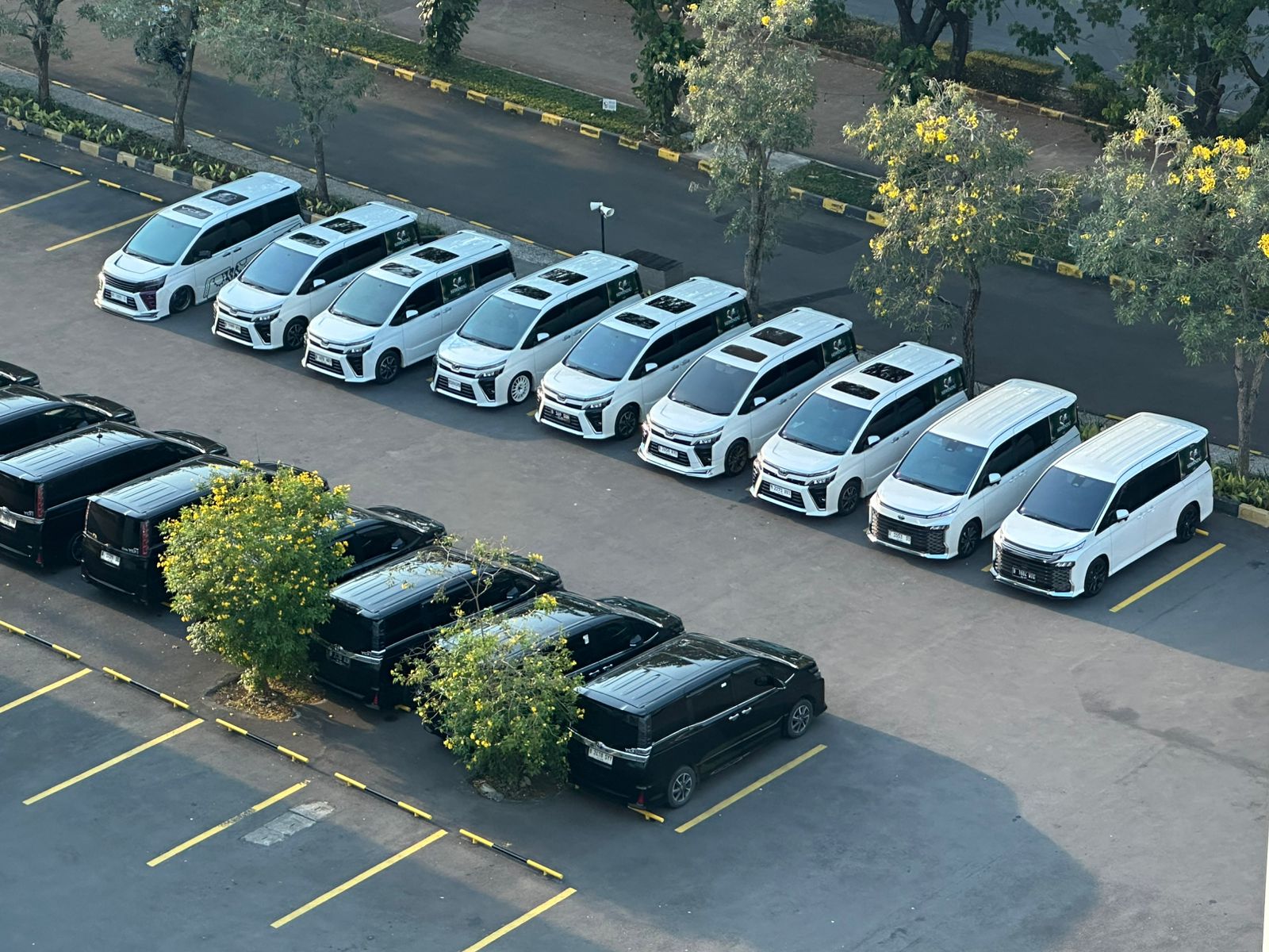 toyota voxy, Voxy Club Indonesia, Komunitas Toyota Voxy, Komunitas Voxy Club Indonesia, Belasan Toyota Voxy Konvoi ke Cirebon, Perayaan Sewindu Komunitas Voxy Club Indonesia