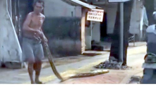 Terpopuler: Ular Piton Usir Pemotor, Ekspansi Bridgestone dan Xpeng X9 Super Jauh