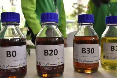 Masalah Umum Penggunaan Biodiesel B50 dan Solusinya
