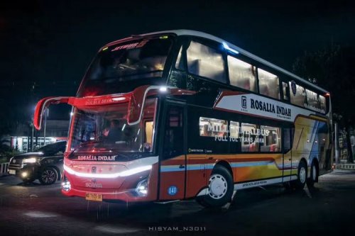 Pengalaman Buruk Penumpang Bus: Kecoa dan Kurangnya Respon