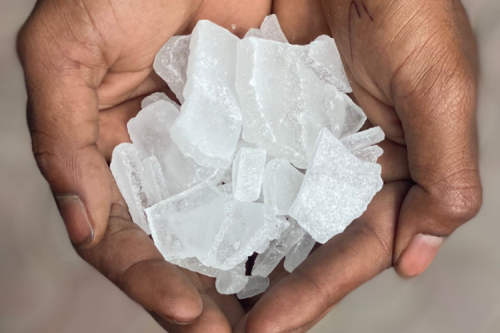 Musim Hujan, Waspada Tikus Menggigit Kabel Kendaraan dan Cara Mencegahnya