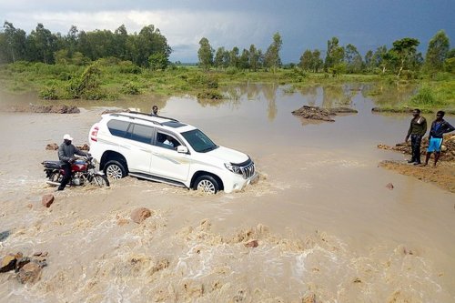 Mitos Mobil Diesel Tangguh di Banjir: Apa Faktanya?