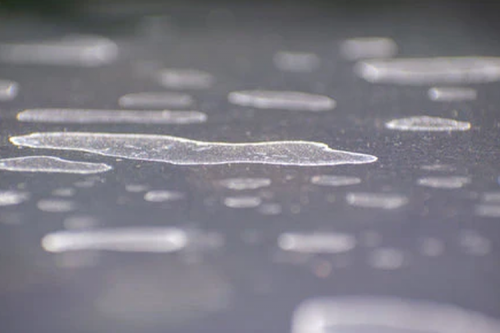 Petunjuk Membersihkan Gas Air Mata Dari Mobil Secara Aman