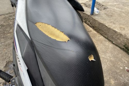 Ini Cara Ampuh Lindungi Jok Motor dari Cakaran Kucing
