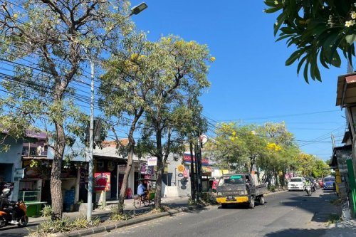 Normalkah AC Mobil Terasa Kurang Dingin Saat Cuaca Panas?