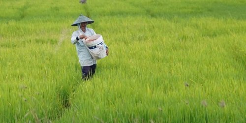 Estimasi Harga Mobil Rakyat, Kendaraan Produktif untuk Masyarakat Desa