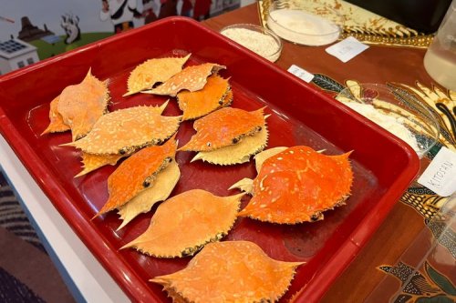 Inovasi Energi Ramah Lingkungan dari Limbah Kepiting