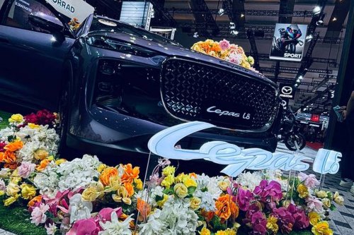 Disrupsi Mobil Listrik China: Insentif Habis, Apakah Mampu Bertahan?