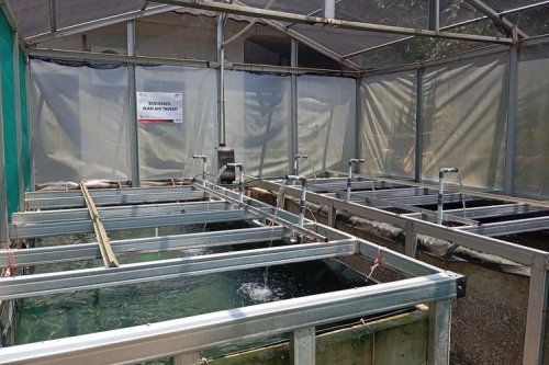 Auto2000 dan Pemkot Bekasi Resmikan Kampung Berseri Astra Jatimelati