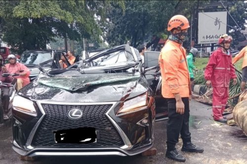 Detik-detik Lexus RX 300 Ketiban Pohon Palem di Pondok Indah