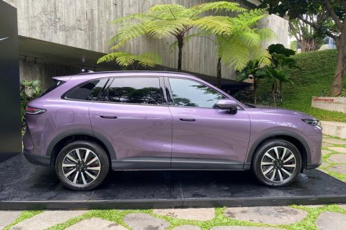 Edukasi NEV Masih Jadi PR Besar Lepas di Indonesia