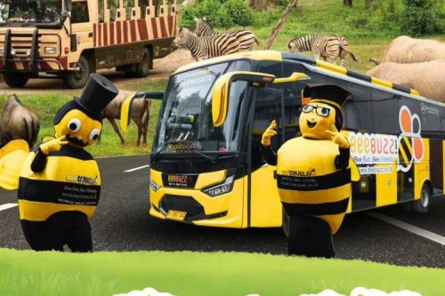 Deretan PO Bus yang Punya Livery Unik, dari AKAP hingga Pariwisata