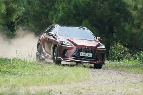 Lexus RX 450h+ Sang Chameleon