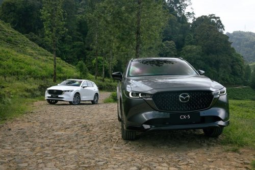 Curhat Pemilik Mazda CX-5, Lexus RX 300 Ketiban Pohon