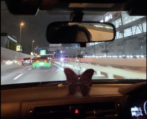 Kerja di SPBU, Kumpulin Uang, Investasi Crypto, Beli Toyota GR 86