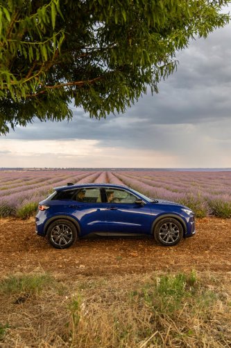 Motor1 Experience by Lexus: viaje a los campos de lavanda de Brihuega