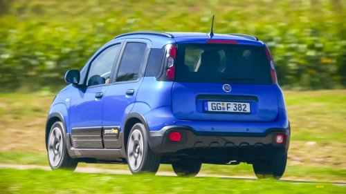 Fiat Pandina Cross (2025) im Test: Der Lieb-Hab-Bär