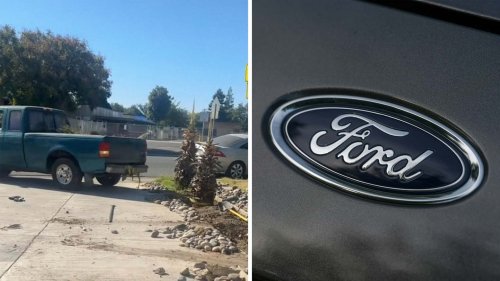 Man Says His Ford Ranger 'Can Do Anything:' Then He Tries to Pull a Tree Out of the Ground