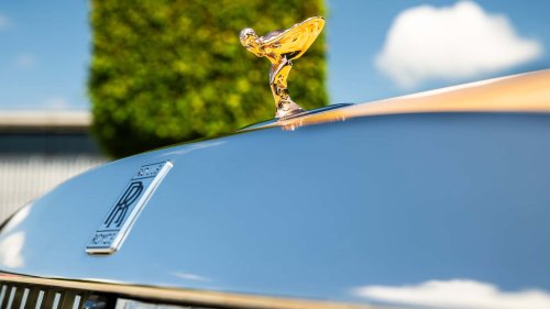 Une voiture d'un demi-million d'euros dédiée... au chien