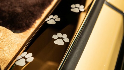 Une voiture d'un demi-million d'euros dédiée... au chien