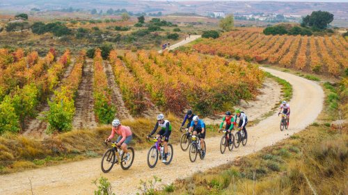 Pistas infinitas, viñedos y diversión: Orbea Gravel Rioja Alavesa 2025