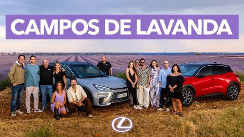 Motor1 Experience by Lexus: viaje a los campos de lavanda de Brihuega