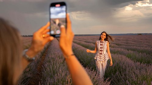 Motor1 Experience by Lexus: viaje a los campos de lavanda de Brihuega