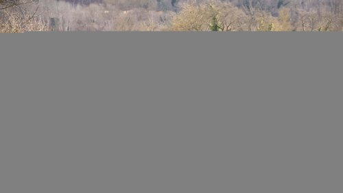 Kia teste publiquement la technologie de passeport de batterie au niveau cellulaire