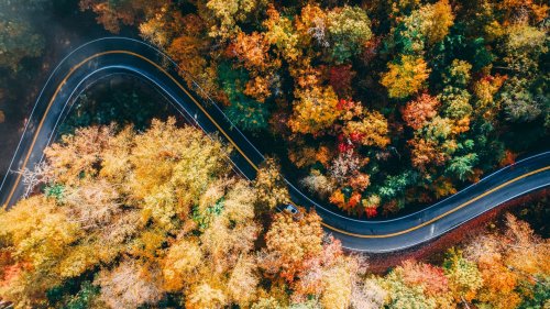 Tail of the Dragon Isn't Overrated. It Just Isn't the Same