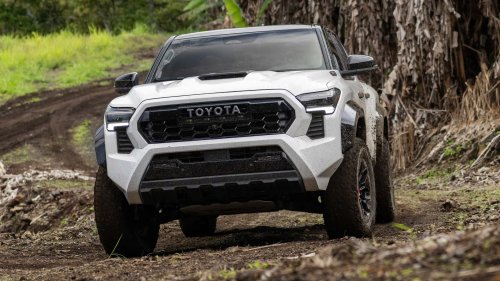 The Toyota Tacoma Is Still the Most Popular Truck in Its Class—And It's Not Even Close