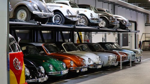 Die seltensten Käfer der Welt: 9 Kostbarkeiten von Laster bis Luxus