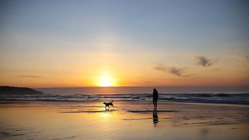 Corigon TS 70 LS (2026) im Test: Die schmale Alternative zum Campervan?