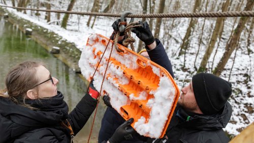 Defender Trophy 2026: Land Rover reaktiviert den Camel Klassiker