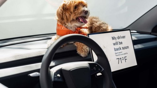 L’intelligence artificielle de Tesla arrive dans les voitures européennes