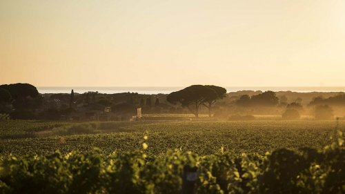 Un grand millésime : la Maserati Grecale Tributo Il Bruciato