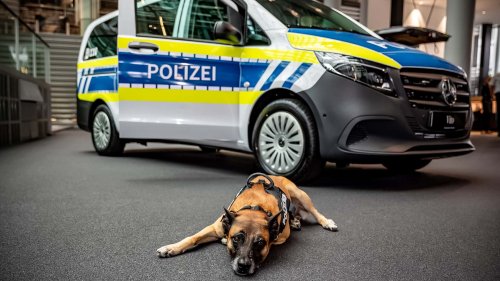 Die Hunde der Polizei München fahren jetzt Mercedes Vito