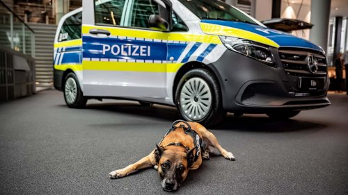 Die Hunde der Polizei München fahren jetzt Mercedes Vito