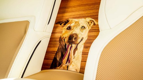 Une voiture d'un demi-million d'euros dédiée... au chien