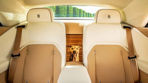 Une voiture d'un demi-million d'euros dédiée... au chien