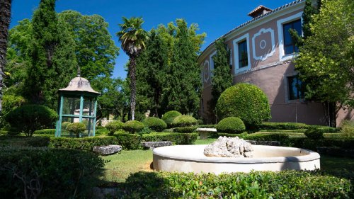 Motor1 Experience by Lexus: viaje a los campos de lavanda de Brihuega