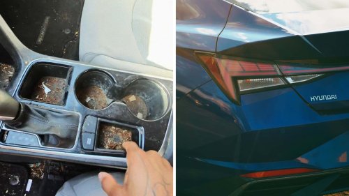 Hyundai Elantra Driver Hires Chicago Detailer. Then He Looks Inside: ‘How Does It Get Like That?’
