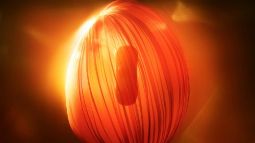 Toyota's New Century Brand Debuts Extravagant Coupe