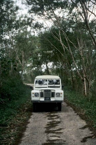 4 by Four Restorasi | Land Rover Series III 1984 – LAURENS LEGENDA SUMBA