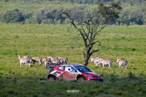 World Rally Championship Toyota Gazoo Racing WRT – KATSUTA MENANG SAFARI RALLY KENYA